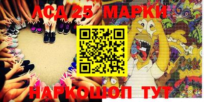 шишки Донской