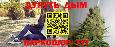 шишки Донской