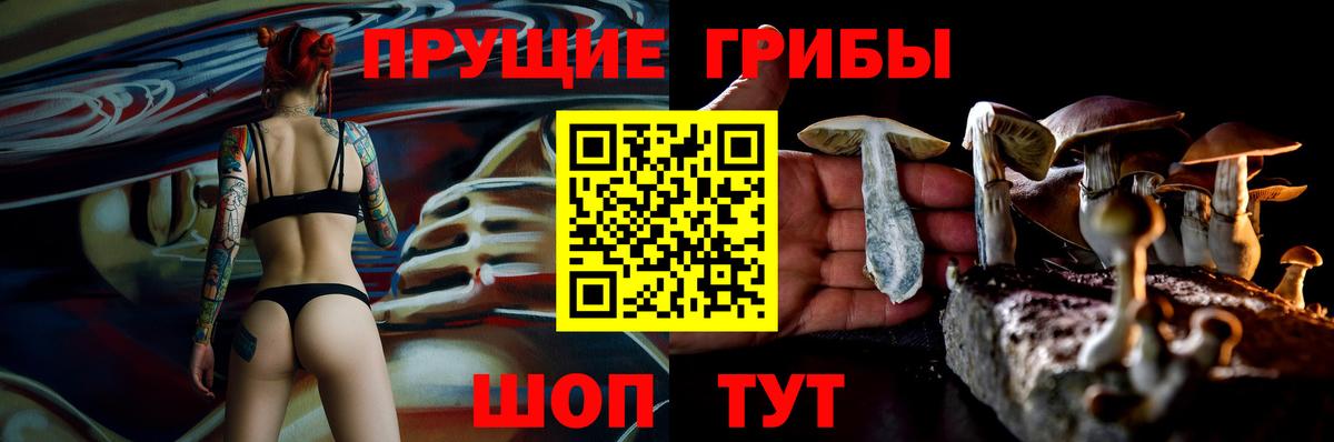 Тында  Галлюциногенные грибы мухоморы  Вход с VPN  Галлюциногенные грибы Psilocybe 